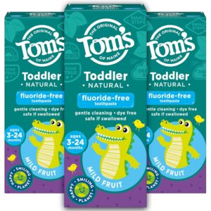Tom's of Maine Fluoride-Free Toddler Training Toothpaste